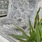 Carpets A beautiful, intricately designed carpet with a plant in the foreground, showcasing the carpet's intricate patterns