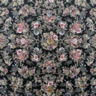 Carpets A dark, richly patterned carpet with a floral design
